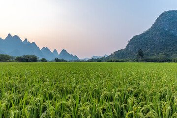 参观博物馆观后感